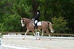 So8ths-5-3-13-Dressage-5133-BrianaTimmerman-ASplashofHenry-DDeRosaPhoto