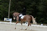 So8ths-5-3-13-Dressage-5139-BrianaTimmerman-ASplashofHenry-DDeRosaPhoto