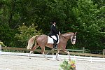 So8ths-5-3-13-Dressage-5140-BrianaTimmerman-ASplashofHenry-DDeRosaPhoto