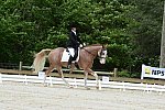 So8ths-5-3-13-Dressage-5141-BrianaTimmerman-ASplashofHenry-DDeRosaPhoto