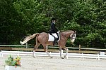 So8ths-5-3-13-Dressage-5142-BrianaTimmerman-ASplashofHenry-DDeRosaPhoto