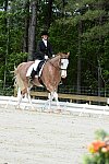 So8ths-5-3-13-Dressage-5145-BrianaTimmerman-ASplashofHenry-DDeRosaPhoto