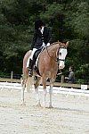 So8ths-5-3-13-Dressage-5156-BrianaTimmerman-ASplashofHenry-DDeRosaPhoto