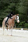 So8ths-5-3-13-Dressage-5157-BrianaTimmerman-ASplashofHenry-DDeRosaPhoto