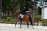 So8ths-5-3-13-Dressage-5181-MannyDiemer-Krugerrand-DDeRosaPhoto