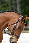 So8ths-5-3-13-Dressage-5205-TatyanaPrueter-Aberjoy-DDeRosaPhoto