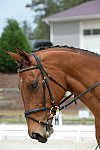 So8ths-5-3-13-Dressage-5208-TatyanaPrueter-Aberjoy-DDeRosaPhoto