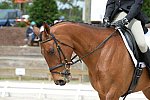 So8ths-5-3-13-Dressage-5231-TatyanaPrueter-Aberjoy-DDeRosaPhoto