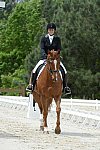 So8ths-5-3-13-Dressage-5236-SamanthaDiMaria-Valentine-DDeRosaPhoto