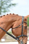 So8ths-5-3-13-Dressage-5252-SamanthaDiMaria-Valentine-DDeRosaPhoto