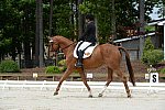So8ths-5-3-13-Dressage-5288-SamanthaDiMaria-Valentine-DDeRosaPhoto
