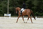 So8ths-5-3-13-Dressage-5291-SamanthaDiMaria-Valentine-DDeRosaPhoto