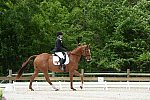So8ths-5-3-13-Dressage-5292-SamanthaDiMaria-Valentine-DDeRosaPhoto