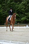 So8ths-5-3-13-Dressage-5304-SamanthaDiMaria-Valentine-DDeRosaPhoto