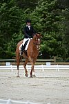 So8ths-5-3-13-Dressage-5305-SamanthaDiMaria-Valentine-DDeRosaPhoto