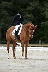 So8ths-5-3-13-Dressage-5308-SamanthaDiMaria-Valentine-DDeRosaPhoto