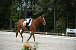 So8ths-5-3-13-Dressage-5309-SamanthaDiMaria-Valentine-DDeRosaPhoto