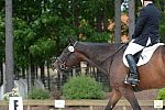 So8ths-5-3-13-Dressage-4862-JamesBaker-Wings-DDeRosaPhoto