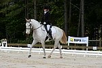 So8ths-5-3-13-Dressage-4867-LaurieWettstone-Moonstruck-DDeRosaPhoto