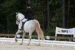 So8ths-5-3-13-Dressage-4900-LaurieWettstone-Moonstruck-DDeRosaPhoto