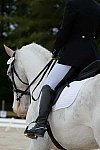So8ths-5-3-13-Dressage-4902-LaurieWettstone-Moonstruck-DDeRosaPhoto