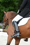 So8ths-5-3-13-Dressage-4916-KathyViele-Matariki-DDeRosaPhoto