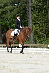 So8ths-5-3-13-Dressage-4924-KathyViele-Matariki-DDeRosaPhoto