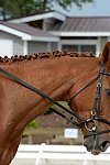 So8ths-5-3-13-Dressage-4957-SarahBaker-PoeticJustice-DDeRosaPhoto