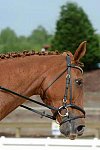 So8ths-5-3-13-Dressage-4958-SarahBaker-PoeticJustice-DDeRosaPhoto