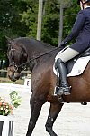 So8ths-5-3-13-Dressage-5022-KaitlynnMosing-Powerhound-DDeRosaPhoto