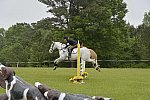 So8ths-5-5-13-SJ-Day-8945-LaurieWettstone-Moonstruck-DDeRosaPhoto