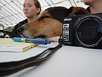Carol Mahoney-7-So8ths-5-3-13-NikonPhotoContest-0003