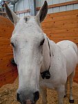 Kaitlyn Ferrell-8-So8ths-5-3-13-NikonPhotoContest-0013