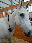 Kaitlyn Ferrell-8-So8ths-5-3-13-NikonPhotoContest-0018