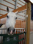 Kaitlyn Ferrell-8-So8ths-5-3-13-NikonPhotoContest-0024