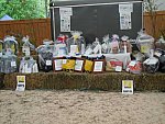 Kaitlyn Ferrell-8-So8ths-5-3-13-NikonPhotoContest-0027