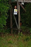 Paiton Keen-9-So8ths-5-3-13-NikonPhotoContest-5595
