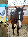 Rachel Hay-5-So8ths-5-3-13-NikonPhotoContest-0177