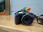 Sarah Zimmer-2-So8ths-5-3-13-NikonPhotoContest-0005