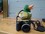 Sarah Zimmer-2-So8ths-5-3-13-NikonPhotoContest-0006
