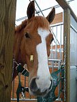 Sarah Zimmer-2-So8ths-5-3-13-NikonPhotoContest-0011