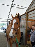 Sarah Zimmer-2-So8ths-5-3-13-NikonPhotoContest-0019