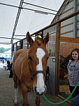 Sarah Zimmer-2-So8ths-5-3-13-NikonPhotoContest-0022