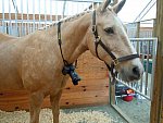 Taylor Pence-1-So8ths-5-3-13-NikonPhotoContest-0002