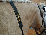 Taylor Pence-1-So8ths-5-3-13-NikonPhotoContest-0005