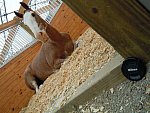 Taylor Pence-1-So8ths-5-3-13-NikonPhotoContest-0008