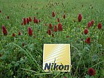 Taylor Pence-1-So8ths-5-3-13-NikonPhotoContest-0011