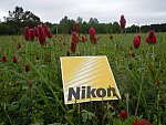 Taylor Pence-1-So8ths-5-3-13-NikonPhotoContest-0013