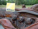 Taylor Pence-1-So8ths-5-3-13-NikonPhotoContest-0014