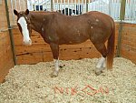 boyt-11-So8ths-5-3-13-NikonPhotoContest-0168